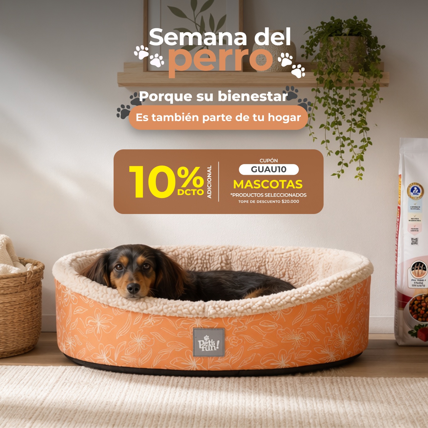 Captura del proyecto