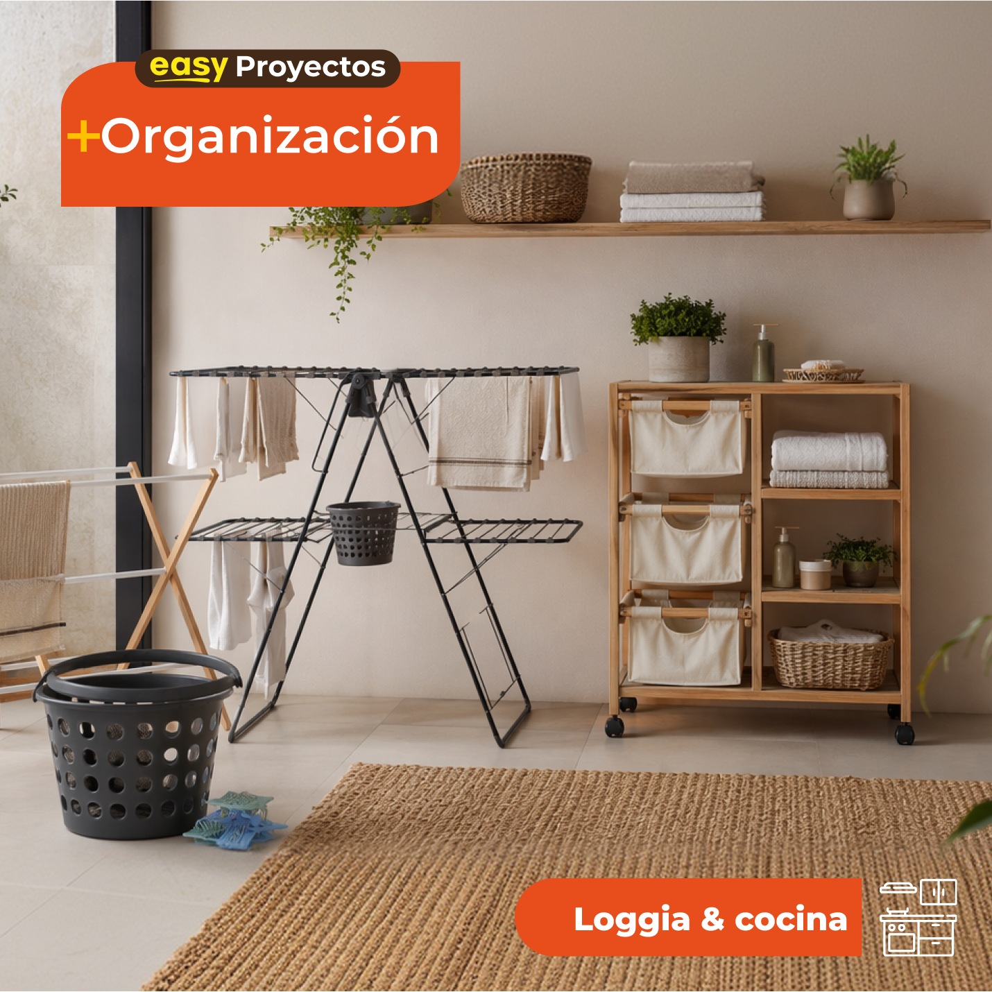Captura del proyecto